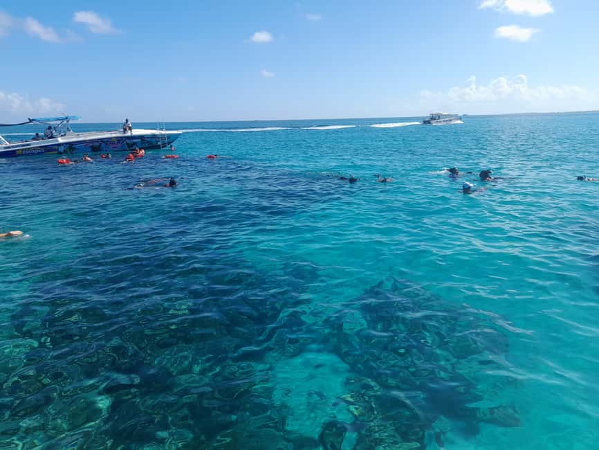 Nassau: Swimming Pigs Private Boat Tour - Up to 7 Persons - Key details before you book