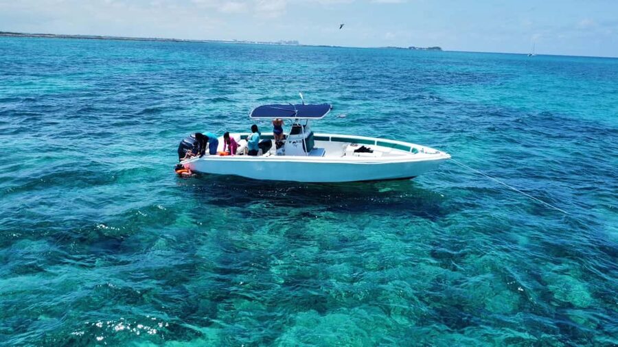 Nassau: Swimming Pigs Private Boat Tour - Up to 7 Persons - A private way to reach Pig Beach