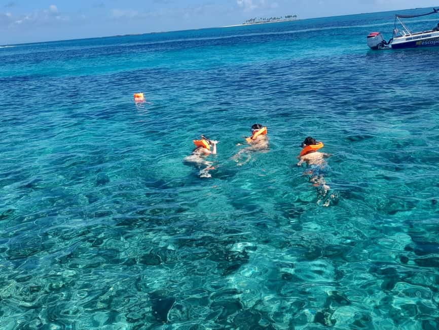 Nassau: Swimming Pigs Private Boat Tour - Up to 7 Persons - Green Cay for turtles, snorkeling, and quieter island time