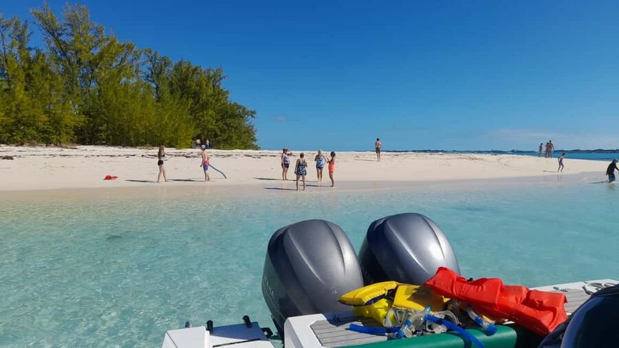 Nassau: Swimming Pigs Private Boat Tour - Up to 7 Persons - What the $700 private price really means