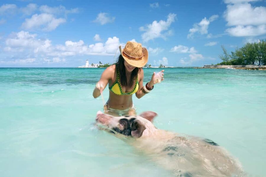 Nassau: Swimming Pigs, Snorkeling, Lunch, & Beach Boat Tour - Why the swimming pigs are worth the boat ride
