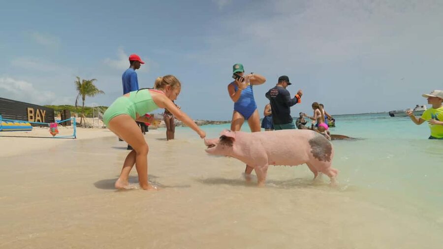 Nassau: Swimming Pigs, Snorkeling, Lunch, & Beach Boat Tour - Snorkeling at the reef