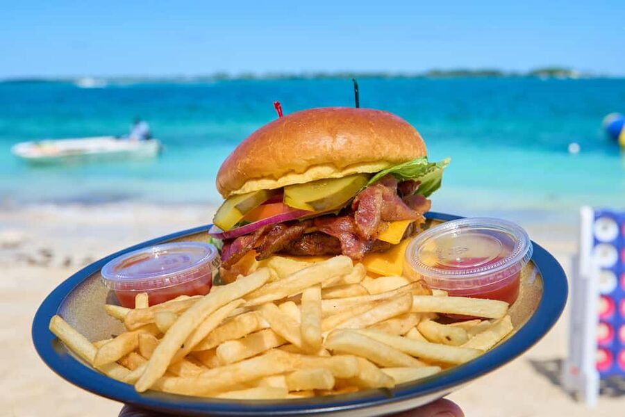 Nassau: Swimming Pigs, Snorkeling, Lunch, & Beach Boat Tour - A few practical cautions before you commit