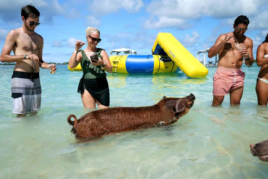 Nassau: Swimming Pigs, Snorkeling, Lunch, & Beach Boat Tour - The Nassau departure and the fast-water route