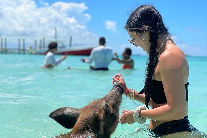 Nassau Swimming Pigs: Snorkeling, Lunch & Private Beach Club - Feeding the pigs and meeting the baby pig