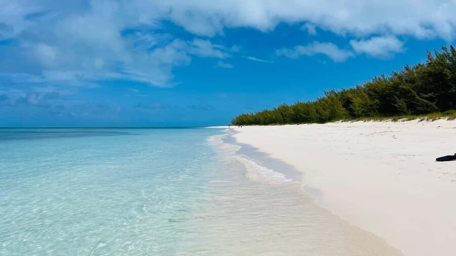 Nassau: Swimming with Pigs, Snorkeling, and Sightseeing Tour - What happens at Pig Island