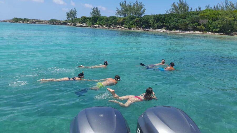 Nassau: Swimming with Pigs, Snorkeling, and Sightseeing Tour - Weather, water clarity, and backup plans