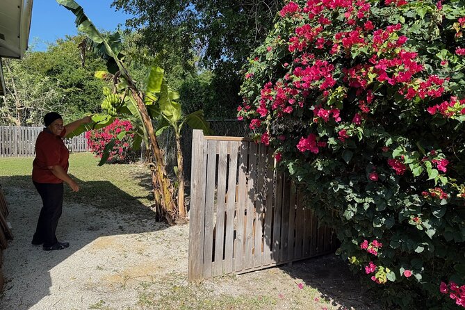 NEW! Authentic Bahamian Cooking and Cocktails with Transfers - Transfers, location, and timing in Nassau
