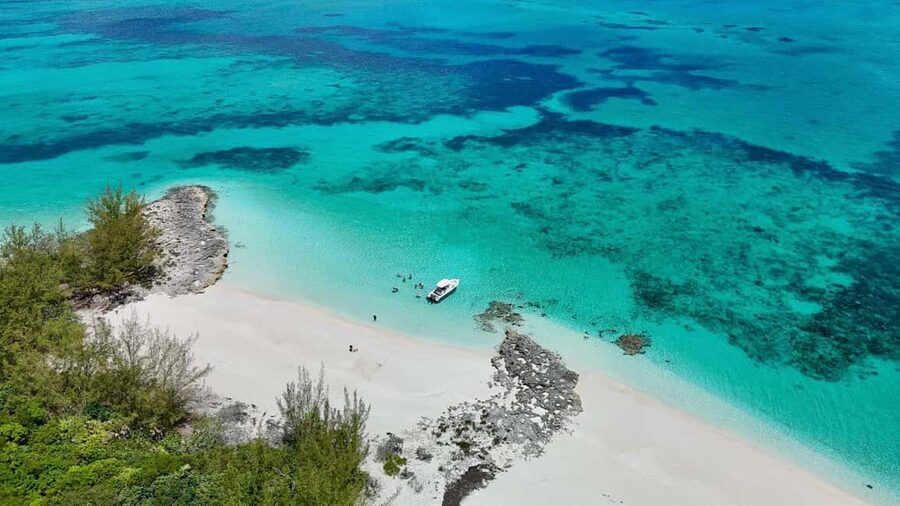 Paradise Found In Hog Haven: Ultimate Beach Escape - Food, drinks, and the beach-bar mood