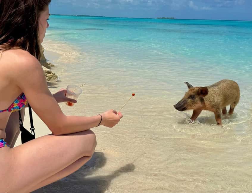 Paradise Found In Hog Haven: Ultimate Beach Escape - Practical packing advice for four hours