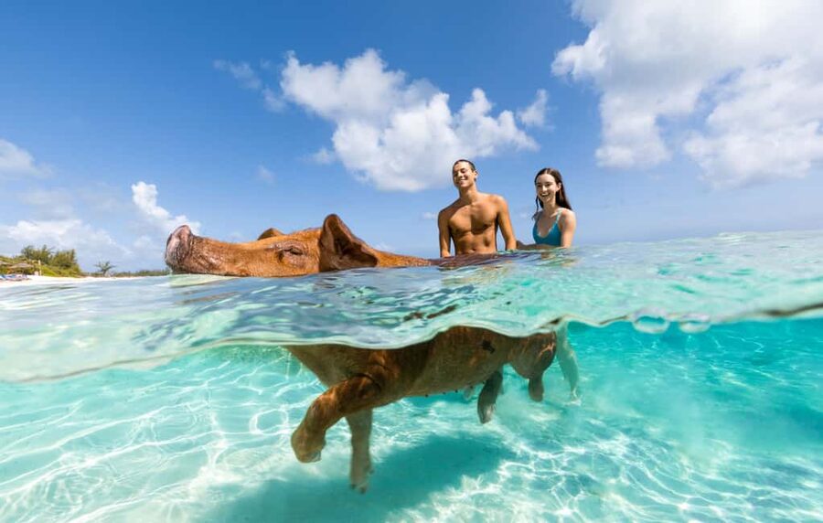 Paradise Island: Rose Island Tour with Swimming Pigs & Lunch - From Paradise Island to Rose Island in 25 minutes