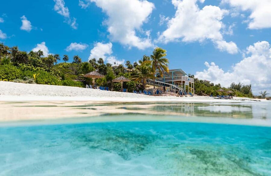 Paradise Island: Rose Island Tour with Swimming Pigs & Lunch - Swimming pigs, goats, and a carefully managed encounter