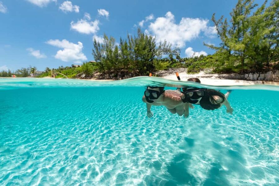 Paradise Island: Rose Island Tour with Swimming Pigs & Lunch - Snorkeling for beginners, with fish and coral below