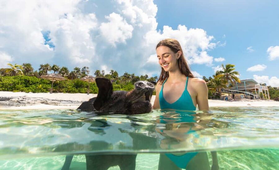 Paradise Island: Rose Island Tour with Swimming Pigs & Lunch - A private beach with five hours to use as you like