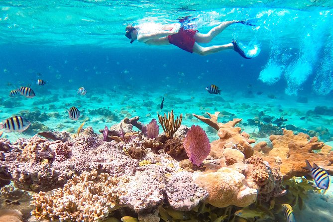 Pearl Island Bahamas Snorkeling Experience and Lunch - The Pearl Island ferry from Nassau