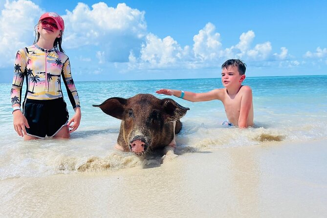 Perfect Day Swimming Pigs, Turtles, Reef Snorkel & Lunch - Key details before you book
