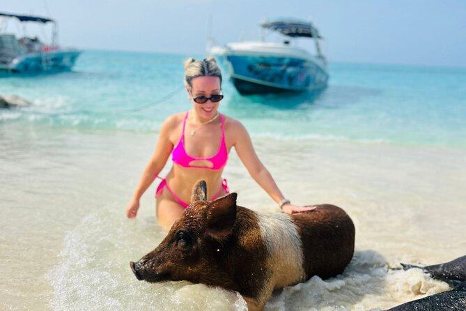 Perfect Day Swimming Pigs, Turtles, Reef Snorkel & Lunch - A four-hour island day from Nassau