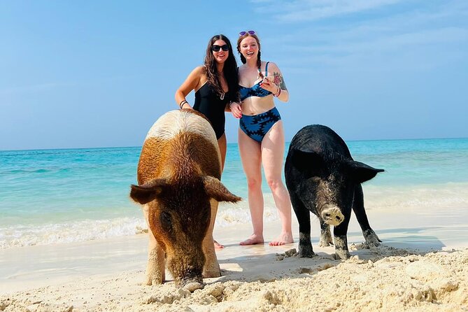 Perfect Day Swimming Pigs, Turtles, Reef Snorkel & Lunch - Turtle watching at protected Green Cay