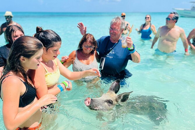 Perfect Day Swimming Pigs, Turtles, Reef Snorkel & Lunch - Is $189 a fair price?