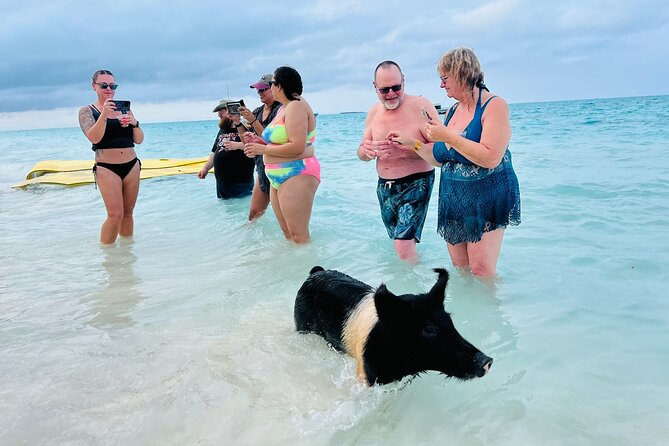 Perfect Day Swimming Pigs, Turtles, Reef Snorkel & Lunch - Who will enjoy this most