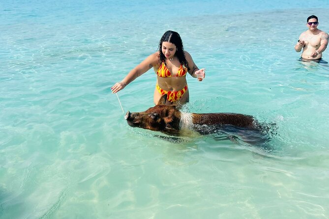 Perfect Day Swimming Pigs, Turtles, Reef Snorkel & Lunch - Reef snorkeling near Atholl Island or Green Cay