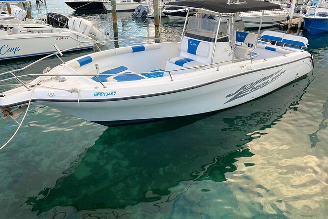 Pigs Beach, Green Turtle Cay, Rose Island Private Tour - A private Nassau outing built around three very different stops