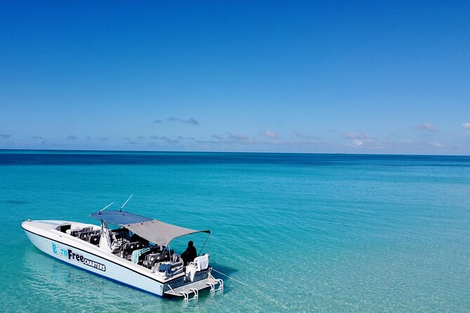 Pink Sand Beach and Swimming Pigs Adventure from Nassau - The sandbar swings at Spanish Wells