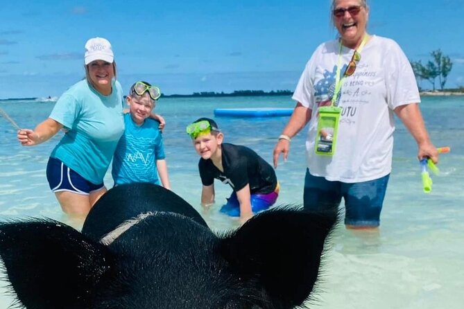 Powerboat and Snorkel Experience with Swimming Pigs and Turtles - A fast-moving Bahamas outing with three different moods