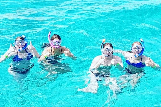 Powerboat and Snorkel Experience with Swimming Pigs and Turtles - Is the $145 price fair?