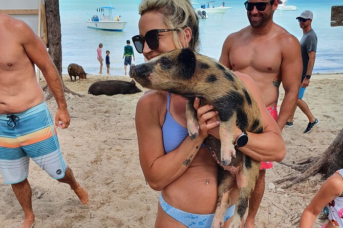 Powerboat and Snorkel Experience with Swimming Pigs and Turtles - Timing, meeting point, and weather concerns