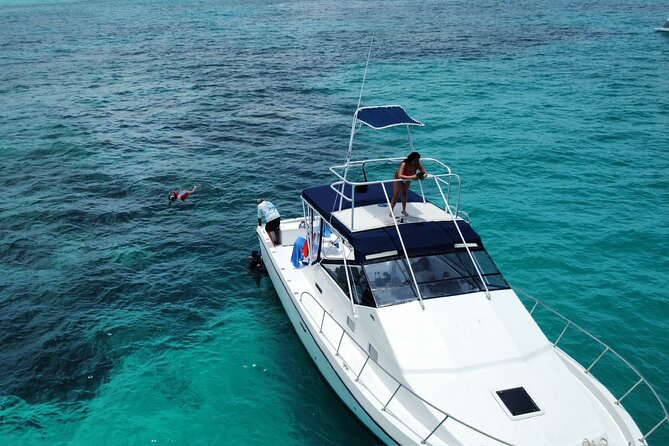 Private 38' Defender Sportfishing/Swim with Pigs in Nassau - Adding the Swimming-With-Pigs Visit