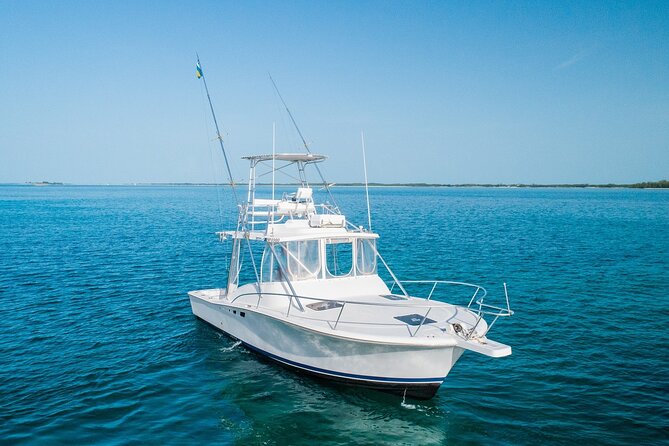 Private Bahamas Half-Day Fishing Tour from New Providence - Crew service is a major part of the experience