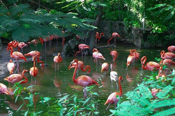 Private Beach Day/Guided TourThrough New Providence Island - Key things to know before booking