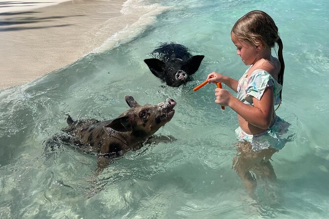 Private Boat Swim and Snorkel Adventure to Rose Island - Rose Island gives the trip its character
