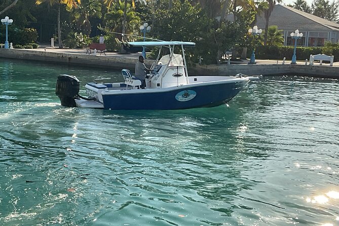 Private Boat Tours & Fishing Charters in Nassau, Bahamas - Who will enjoy this boat charter most?