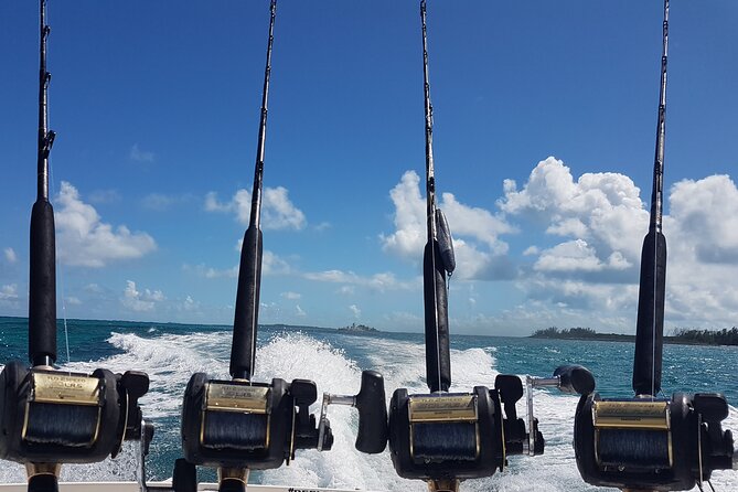 Private Charter for snorkeling, swimming pigs, turtles & fishing.... - Turtle encounters and the optional pig stop