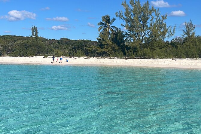 Private Eleuthera Island: Swim With Pigs, Turtles & Stingrays - Swimming With the Pigs at Pig Beach