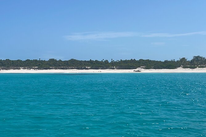 Private Eleuthera Island: Swim With Pigs, Turtles & Stingrays - Who Will Enjoy This Most
