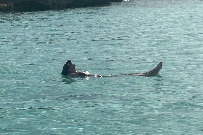 Private Full Day Cruise Tour in Rose Island with Snorkeling - Why this private Nassau cruise works so well