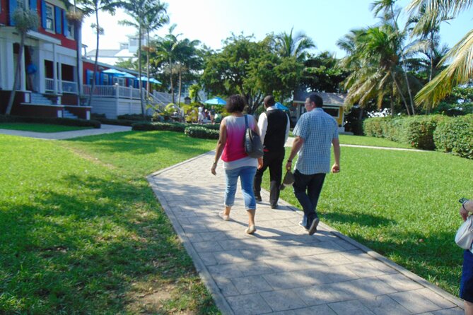 Private Guided Island Tour in Nassau Bahamas -Free Wifi & Drinks - Vehicles, group size, and family comfort