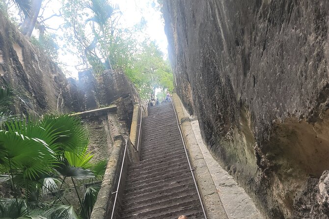 Private Guided Tour Around Nassau, The Bahamas - Graycliff brings together wine, chocolate, and cigars