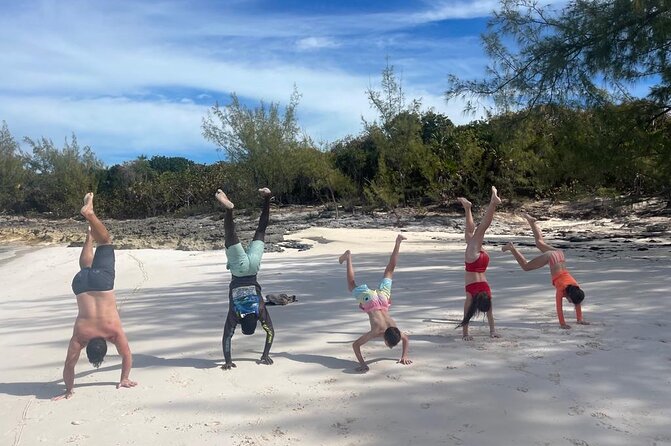 Private Rose Island, Swimming Pigs, Snorkeling and Turtles - Swimming pigs are optional, and not quite what some expect