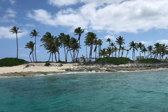 Private Rose Island, Swimming Pigs, Snorkeling and Turtles - Captains make the private format work