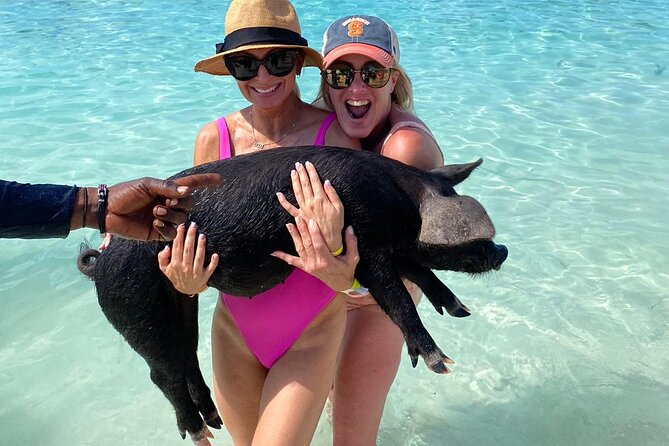 Private Rose Island, Swimming Pigs, Snorkeling and Turtles - What the four-hour route can include