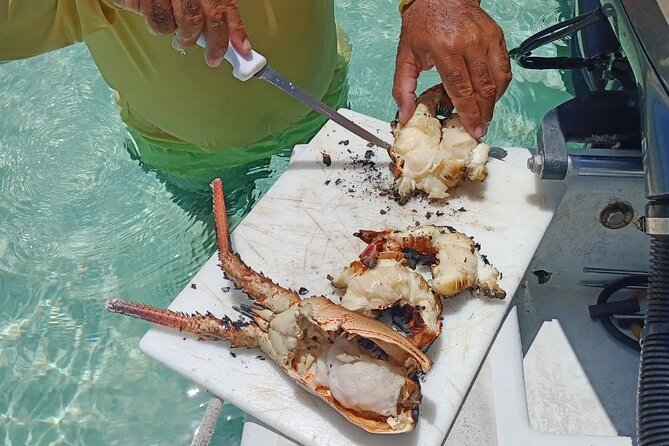 Private Snorkeling And Fishing Activity - Is $850 a good value for your group?