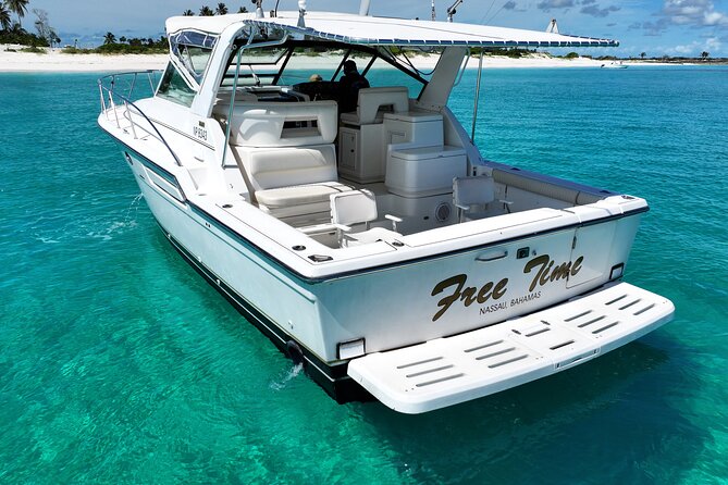 Private Snorkeling or Fishing Charter in Nassau - 38ft Free Time - Weather, timing, and practical planning