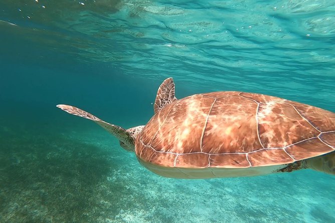 Private Snorkeling or Fishing in Nassau - 55ft Cocorijo - Fishing, with realistic expectations