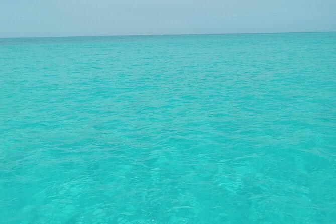 Private speed boat beach and bar hopping visiting Rose island - A private boat day from Nassau