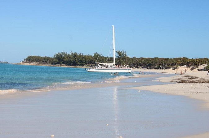 Private speed boat beach and bar hopping visiting Rose island - Timing, weather, and practical planning