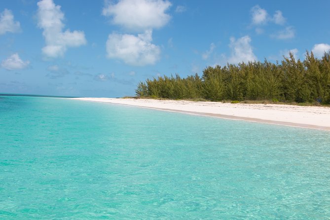 Private Speed Boat for Snorkeling or Fishing in Nassau - 34ft - Why a private Nassau boat makes sense
